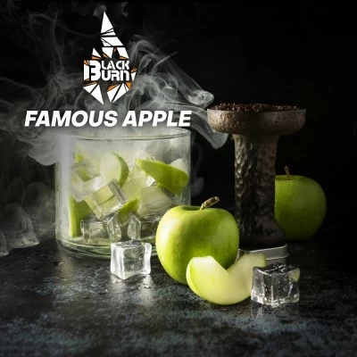 Tobacco Burn Black Famous Apple (green apple with ice) 25 g